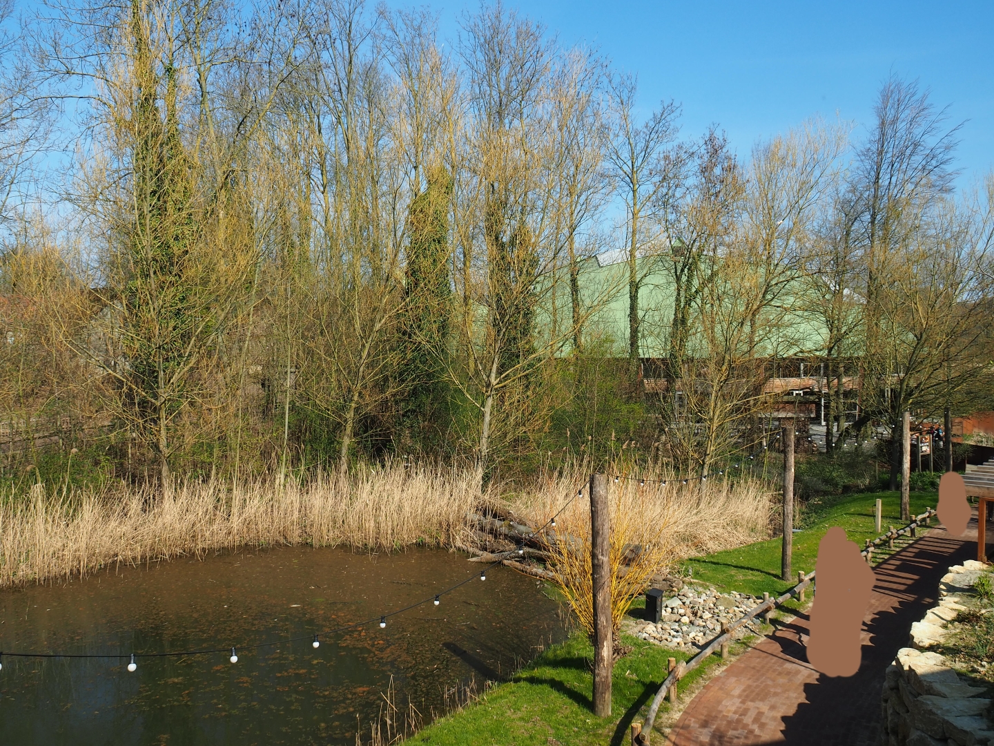 Park view, 2019-03-30