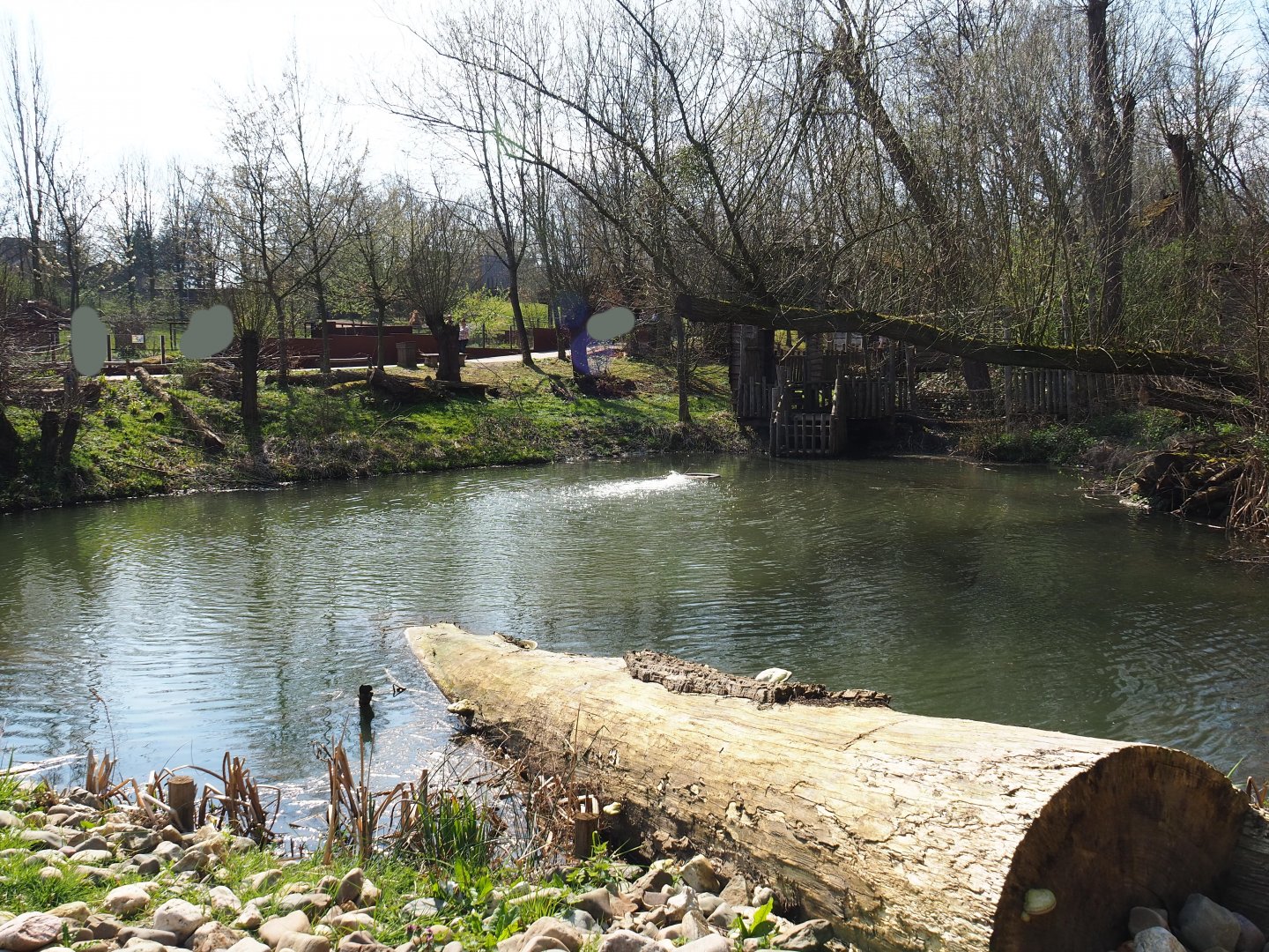 Park view, 2019-03-30