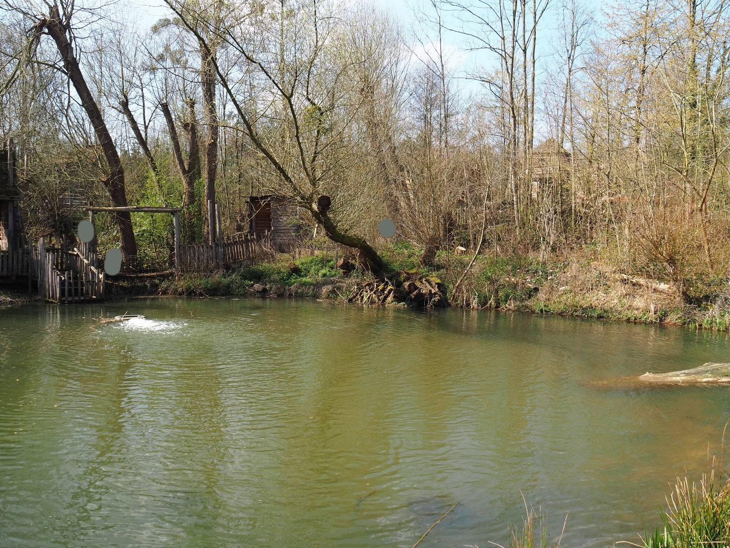 Park view, 2019-03-30