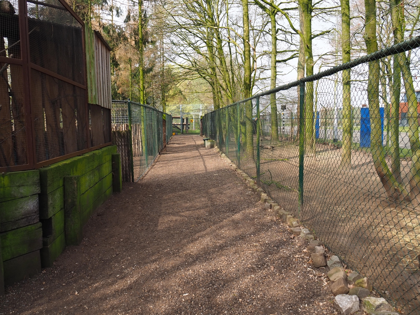 Park view, 2019-04-06