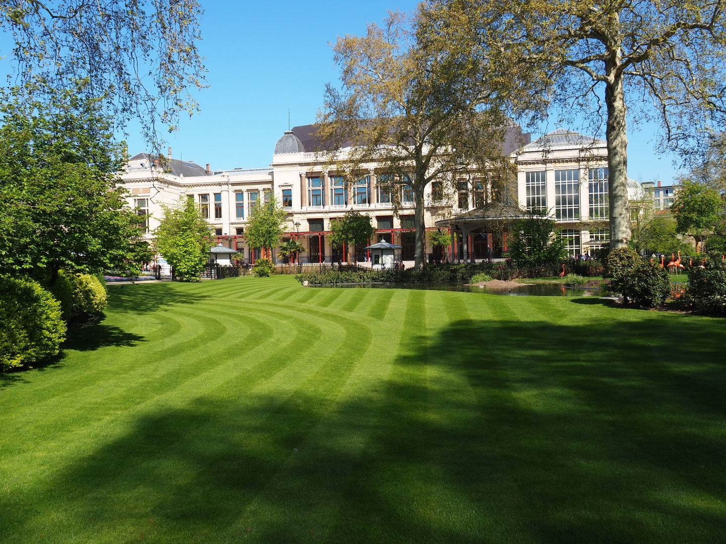 Park view, 2019-04-20