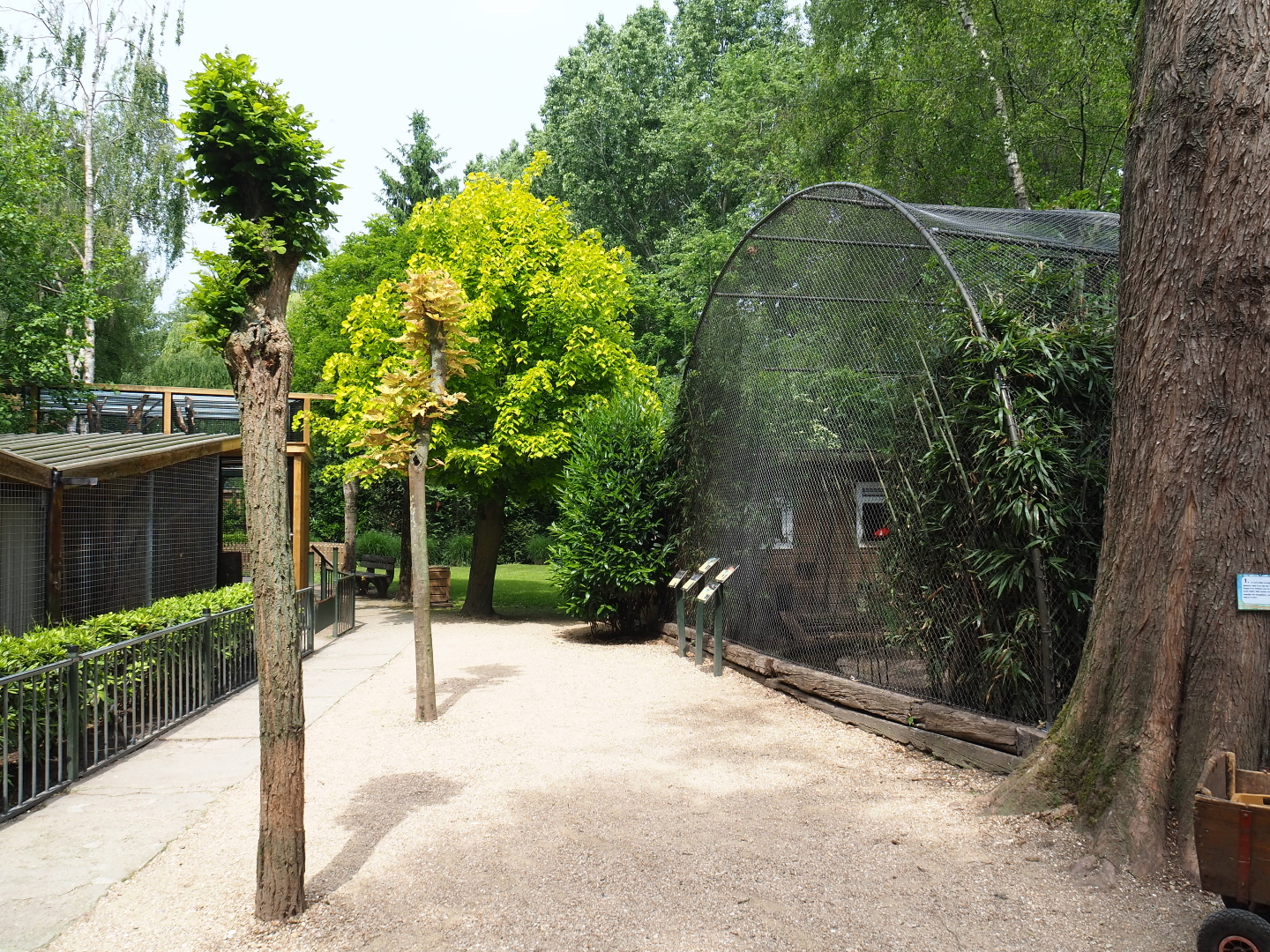 Park view, 2019-05-25