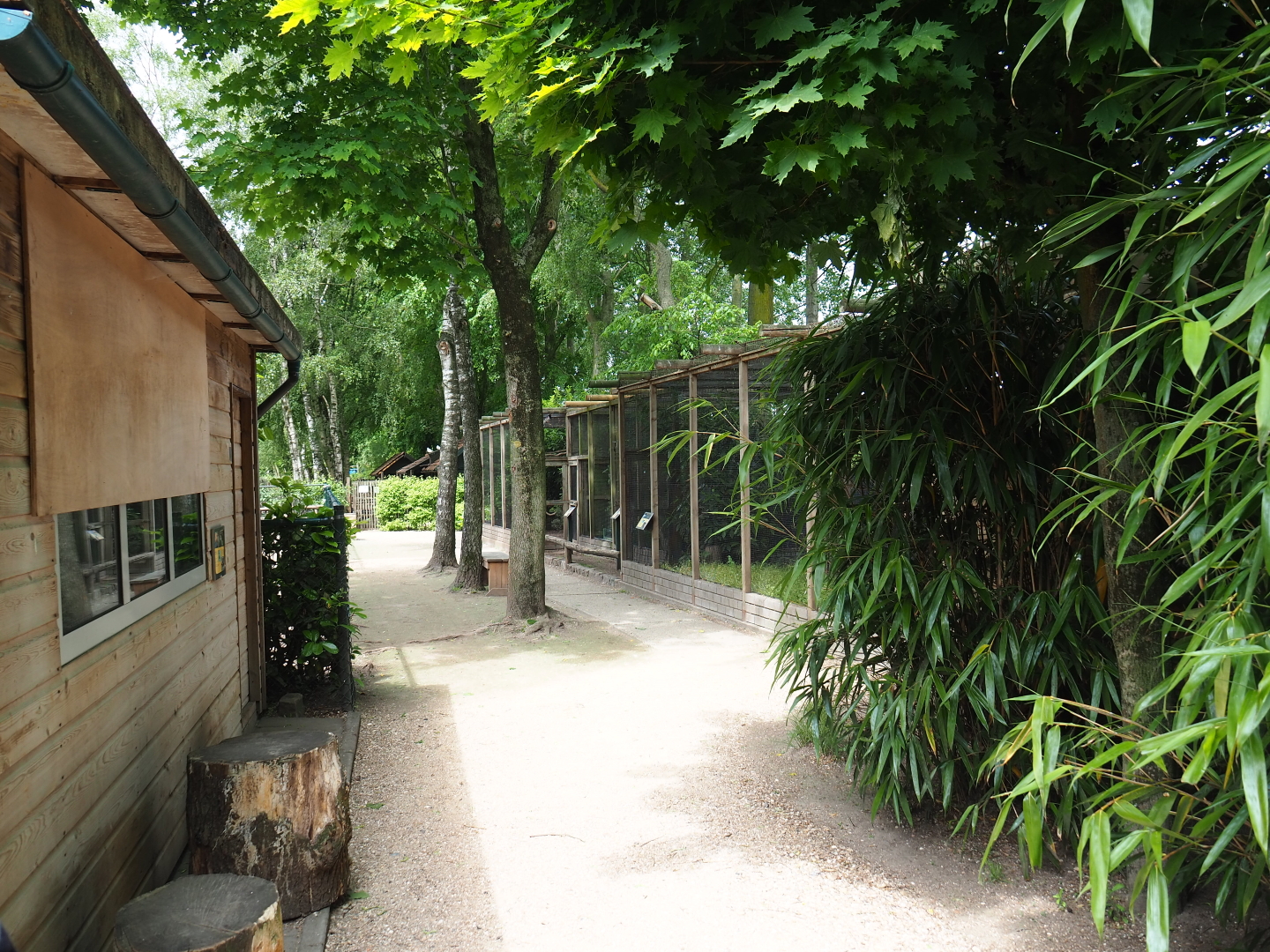 Park view, 2019-05-25