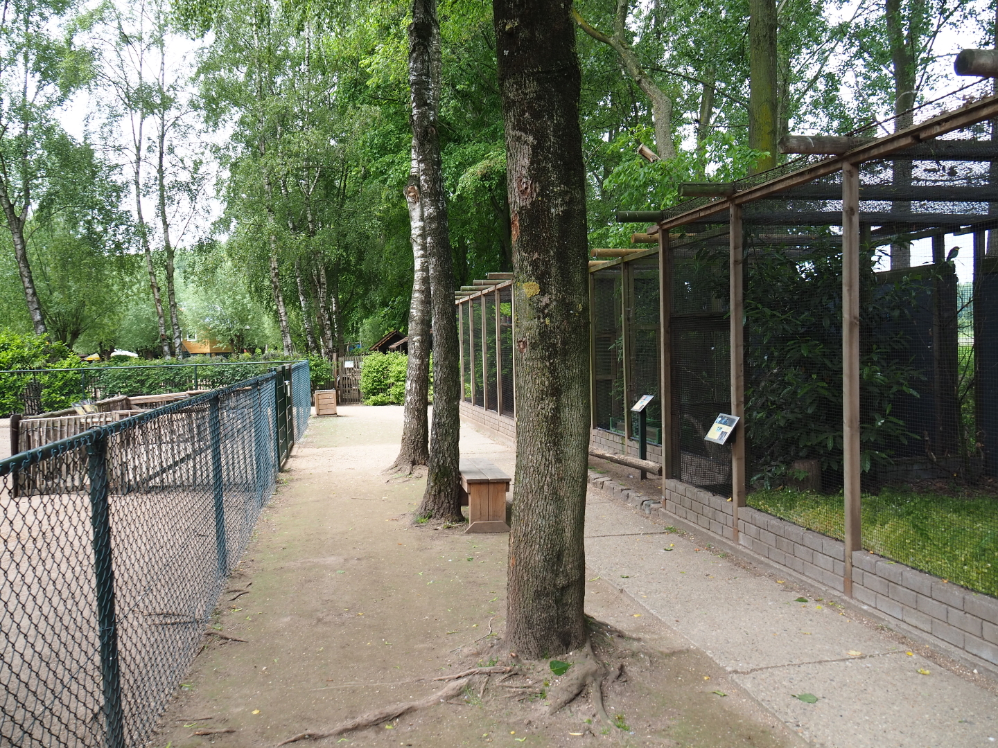 Park view, 2019-05-25