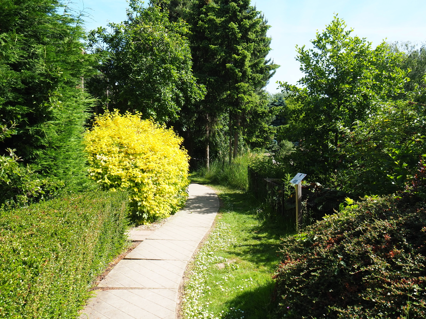 Park view, 2019-06-01