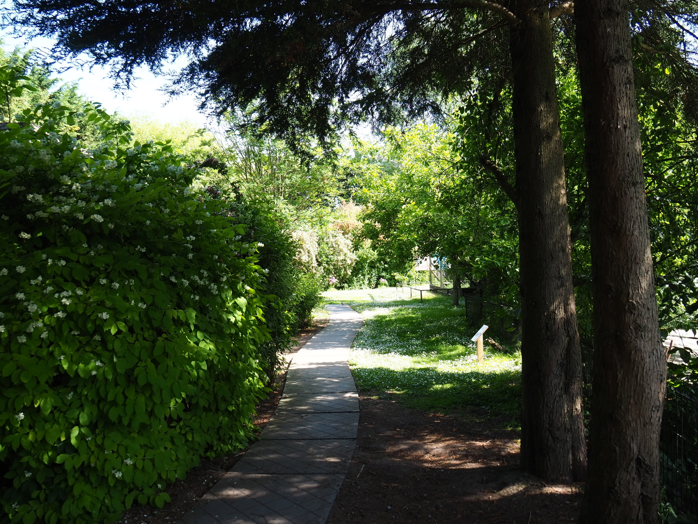 Park view, 2019-06-01