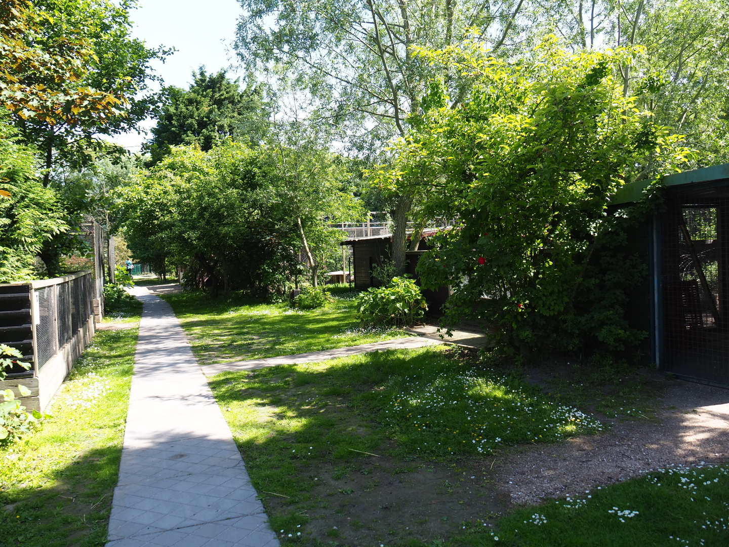 Park view, 2019-06-01