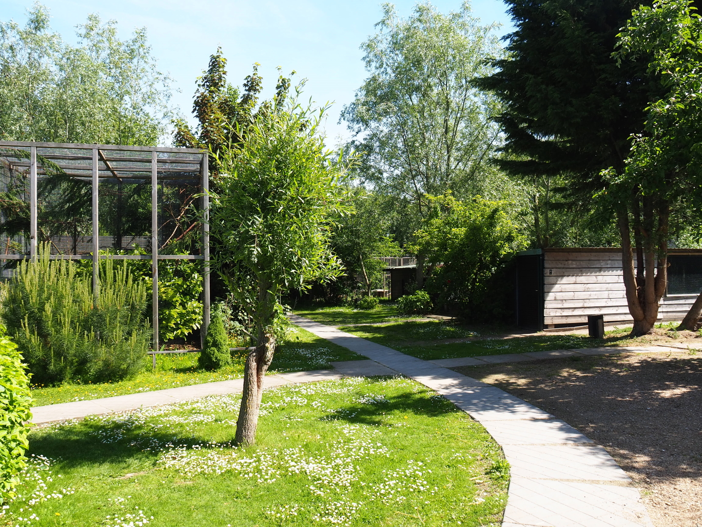 Park view, 2019-06-01