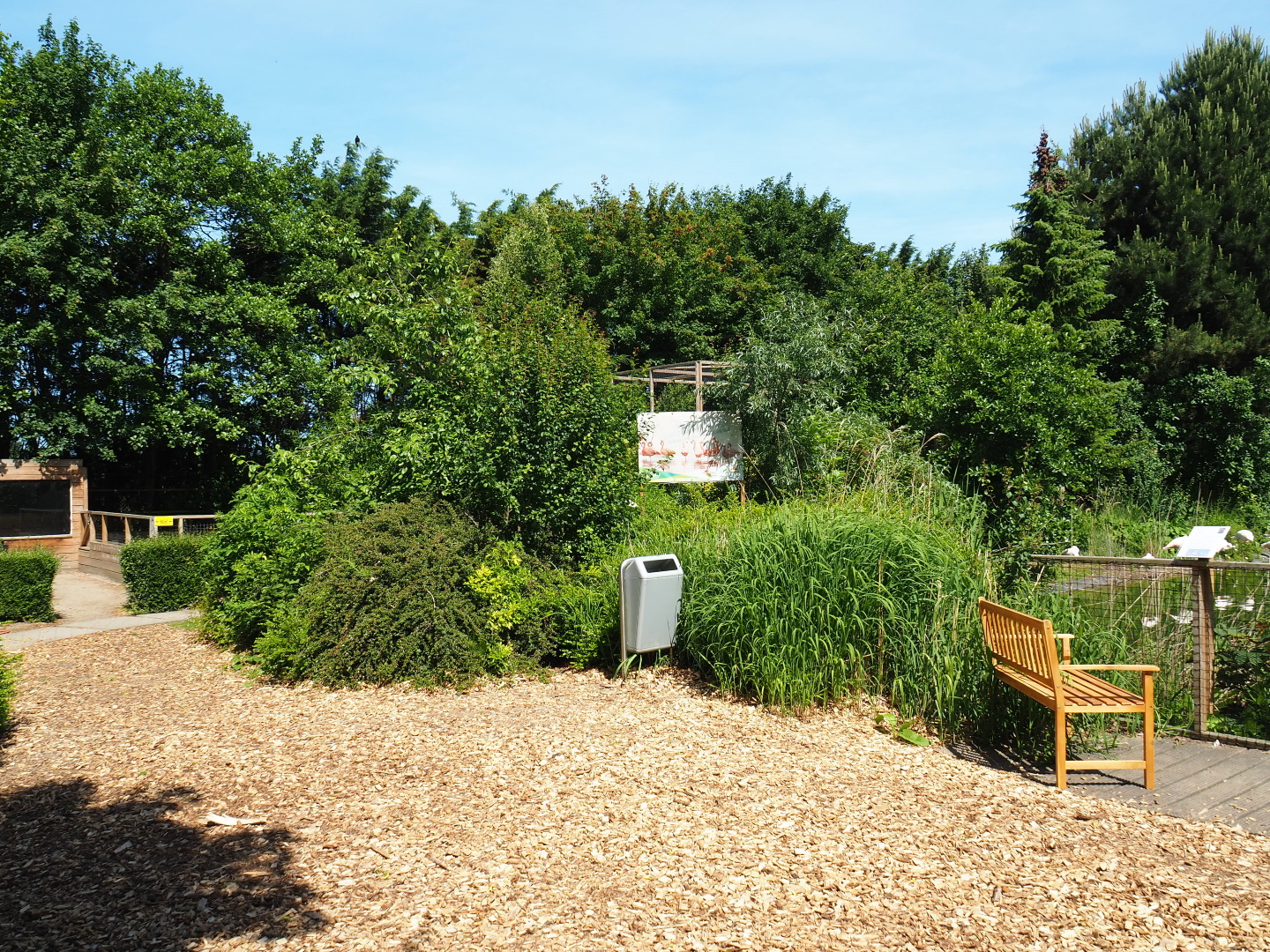 Park view, 2019-06-01