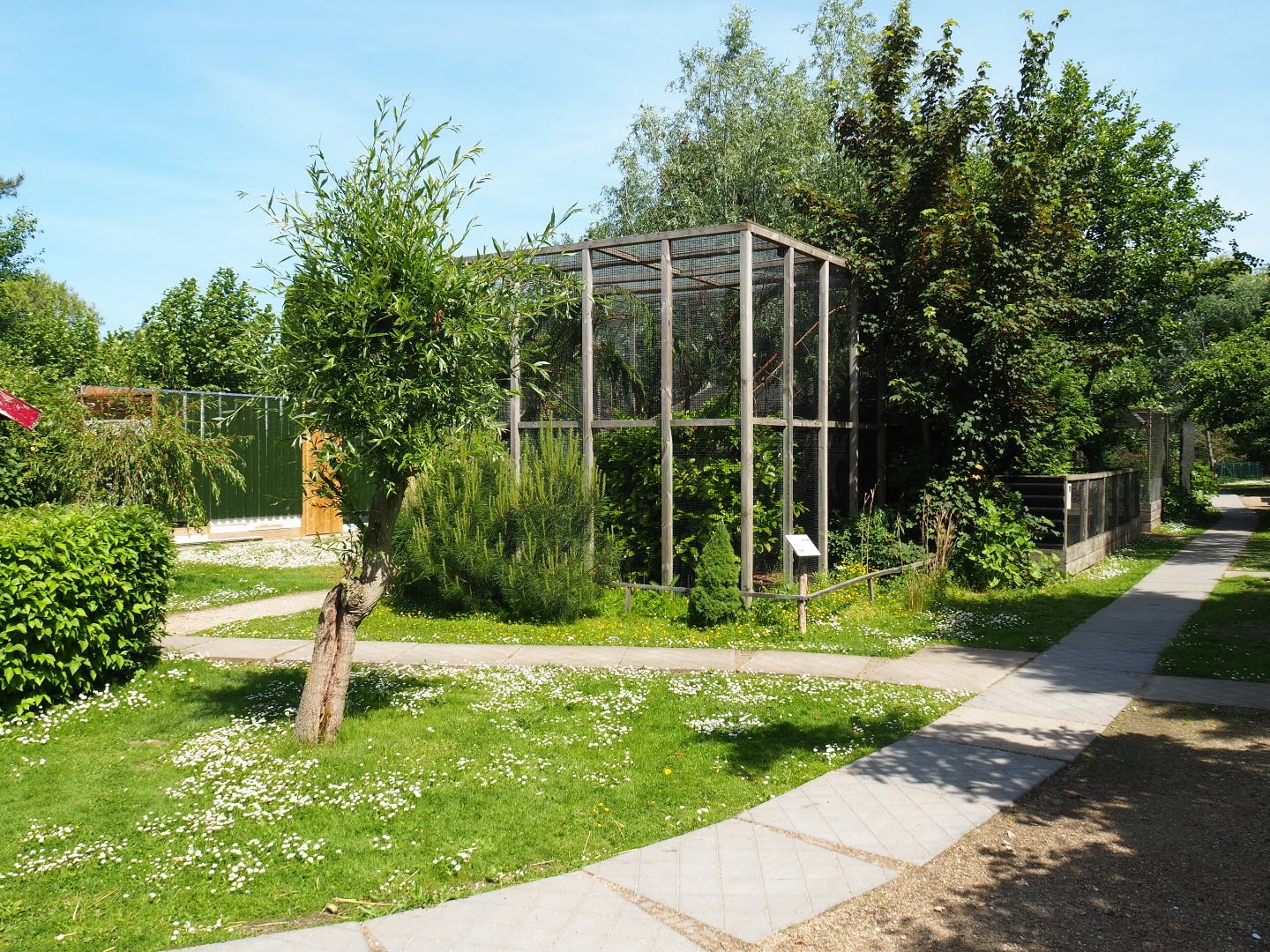 Park view, 2019-06-01