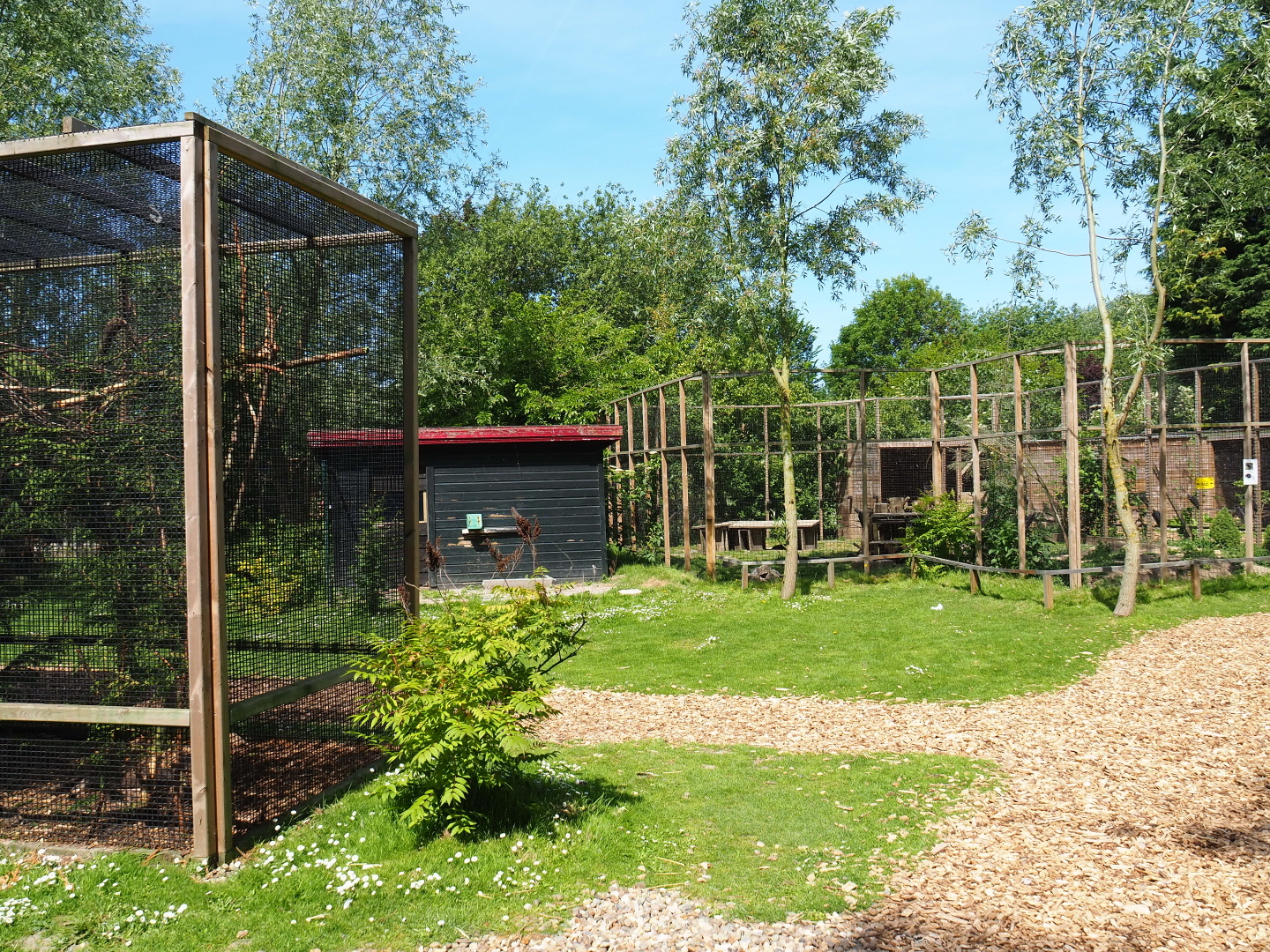 Park view, 2019-06-01