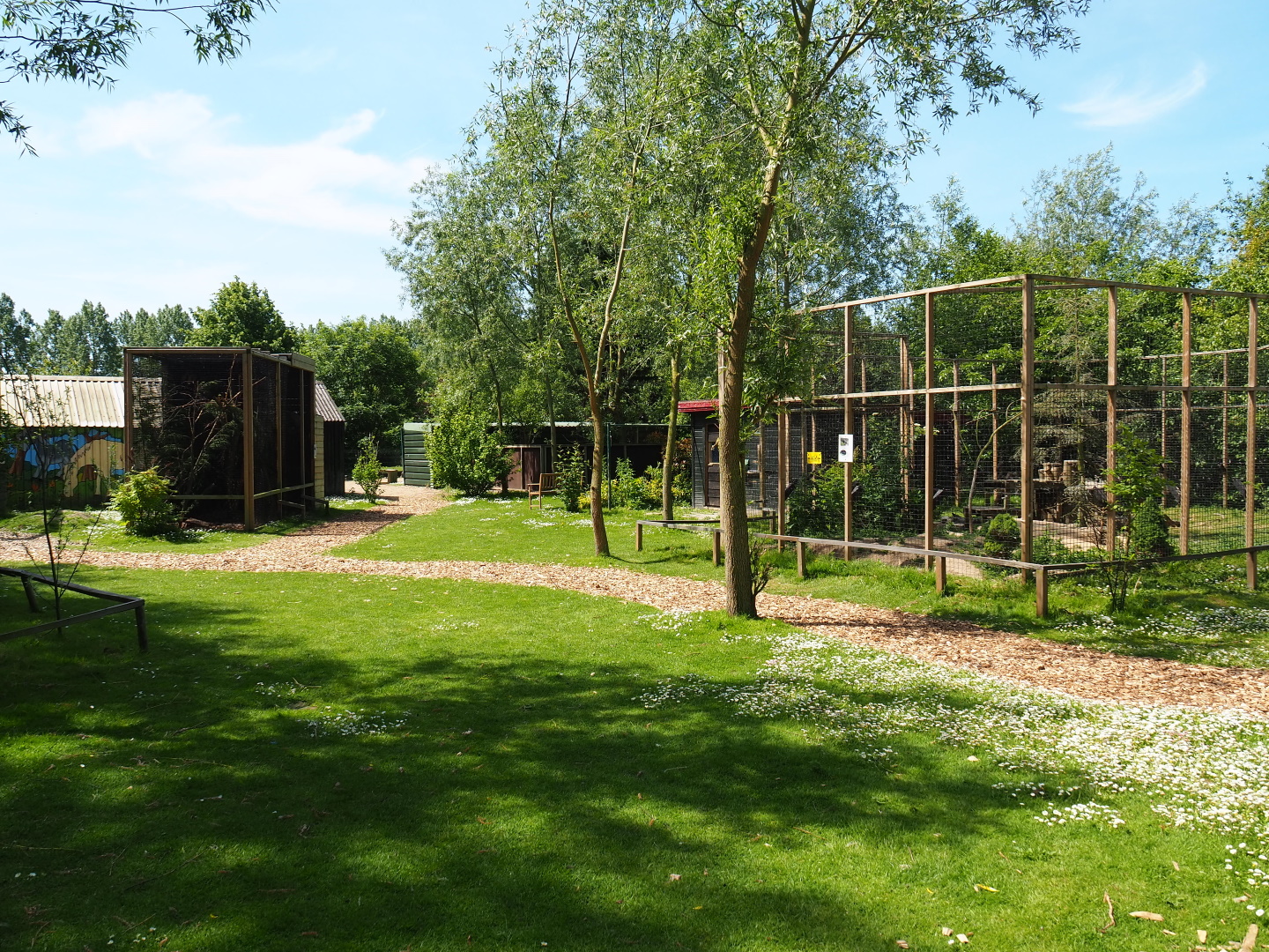 Park view, 2019-06-01