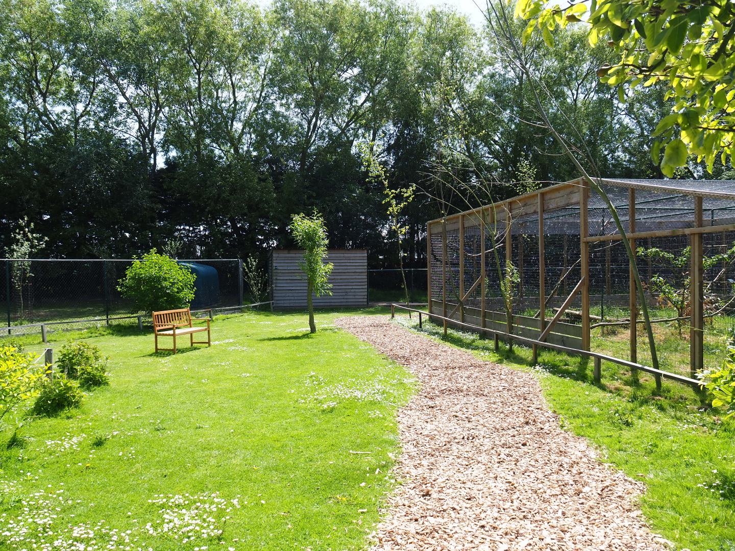 Park view, 2019-06-01