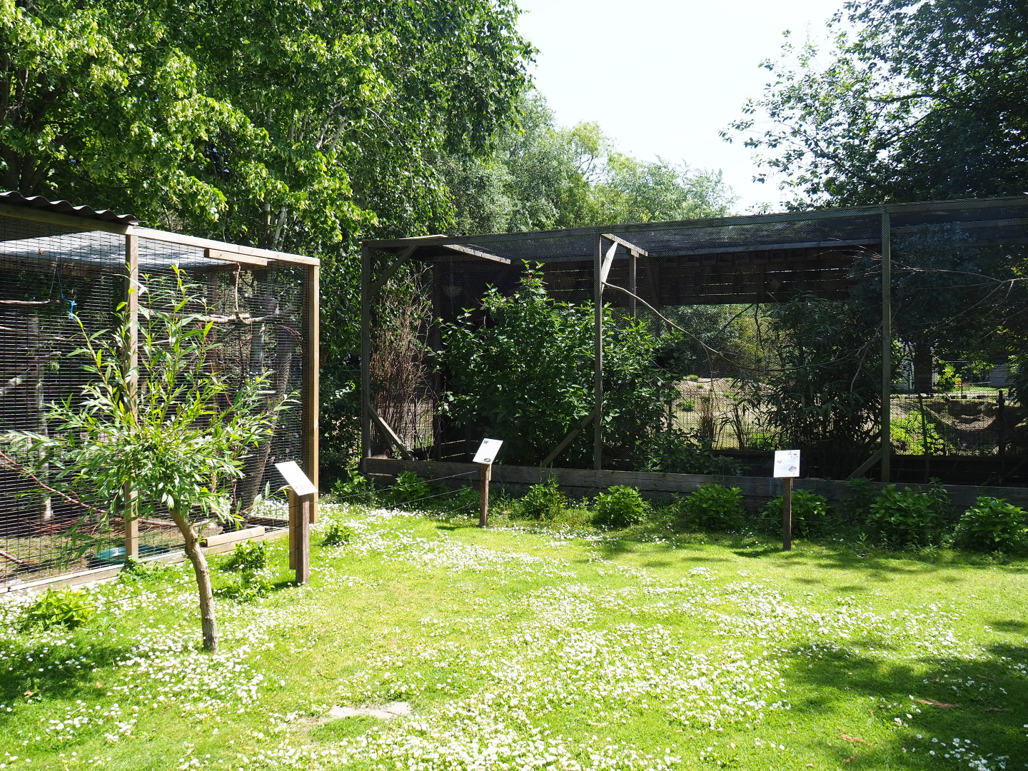 Park view, 2019-06-01