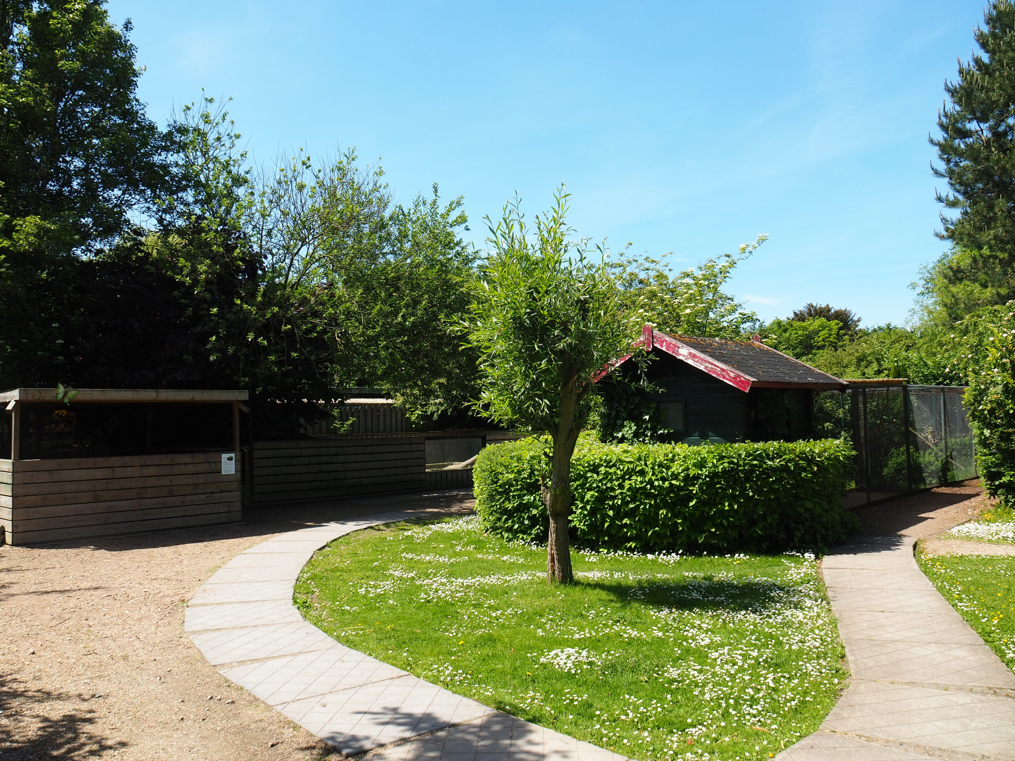 Park view, 2019-06-01