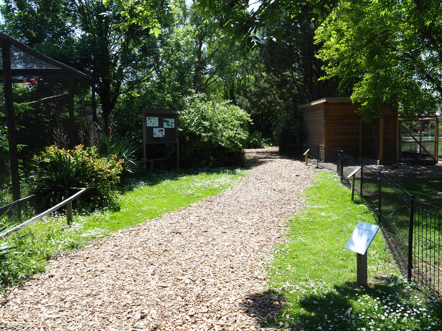 Park view, 2019-06-01