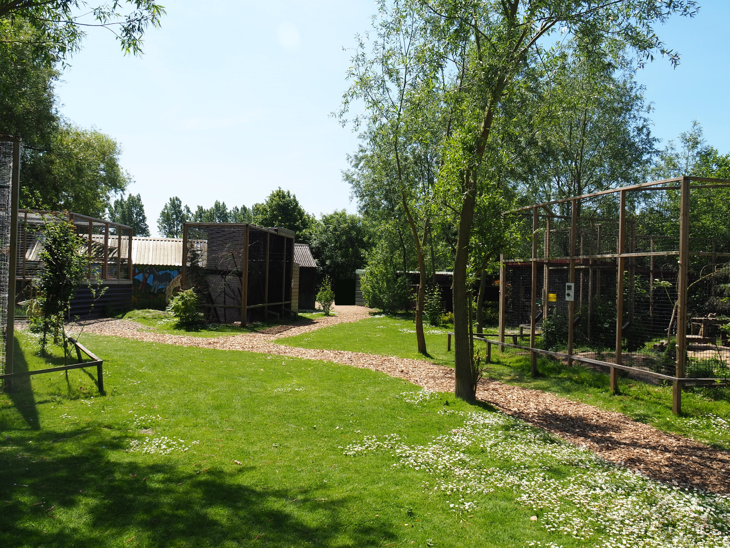 Park view, 2019-06-01