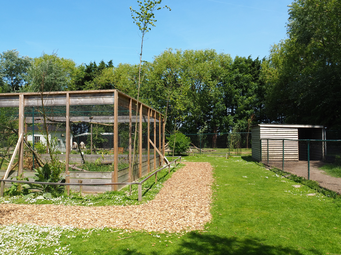 Park view, 2019-06-01