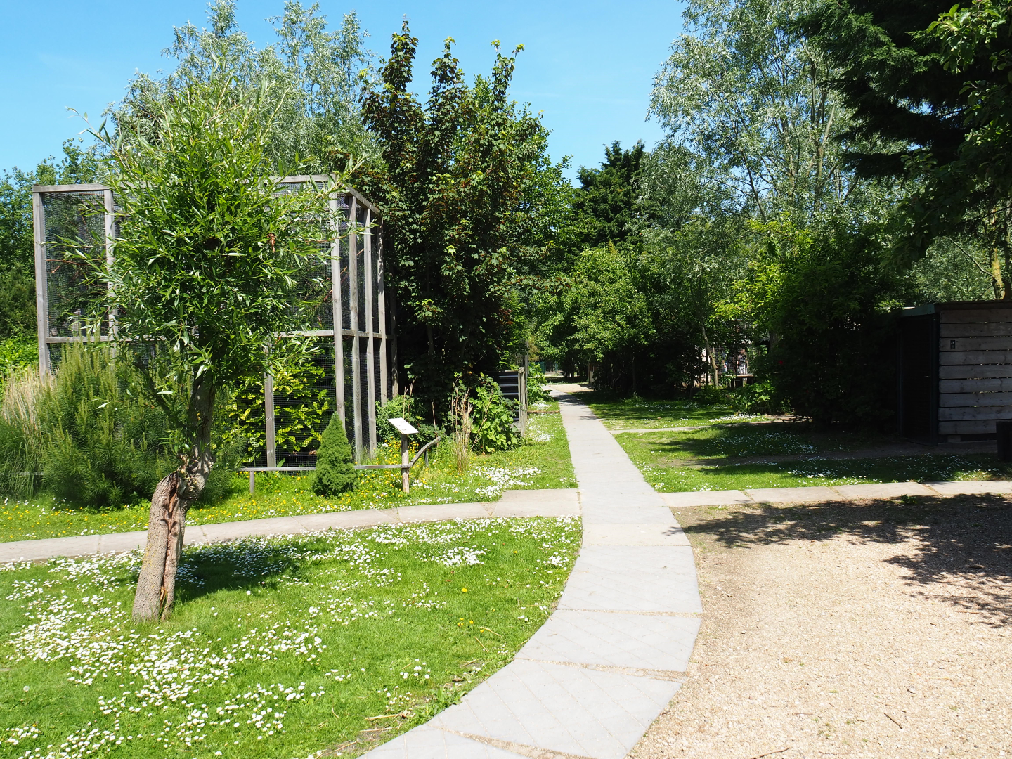 Park view, 2019-06-01