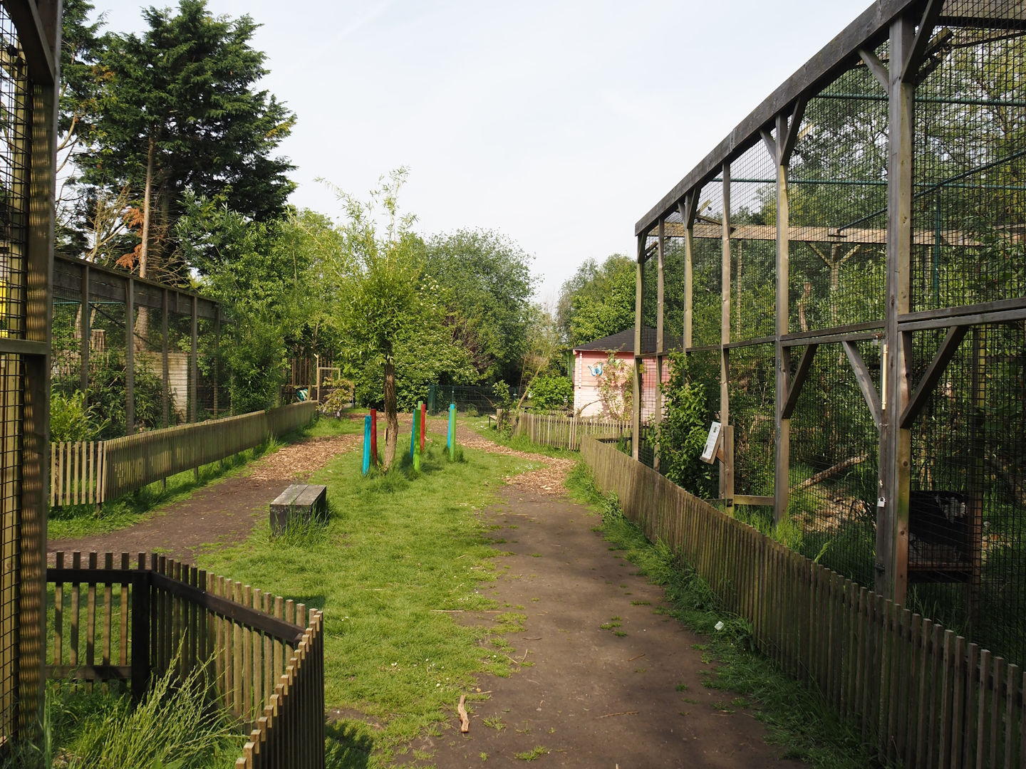 Park view between Ocelot and Jungle cat exhibits, 2024-05-11