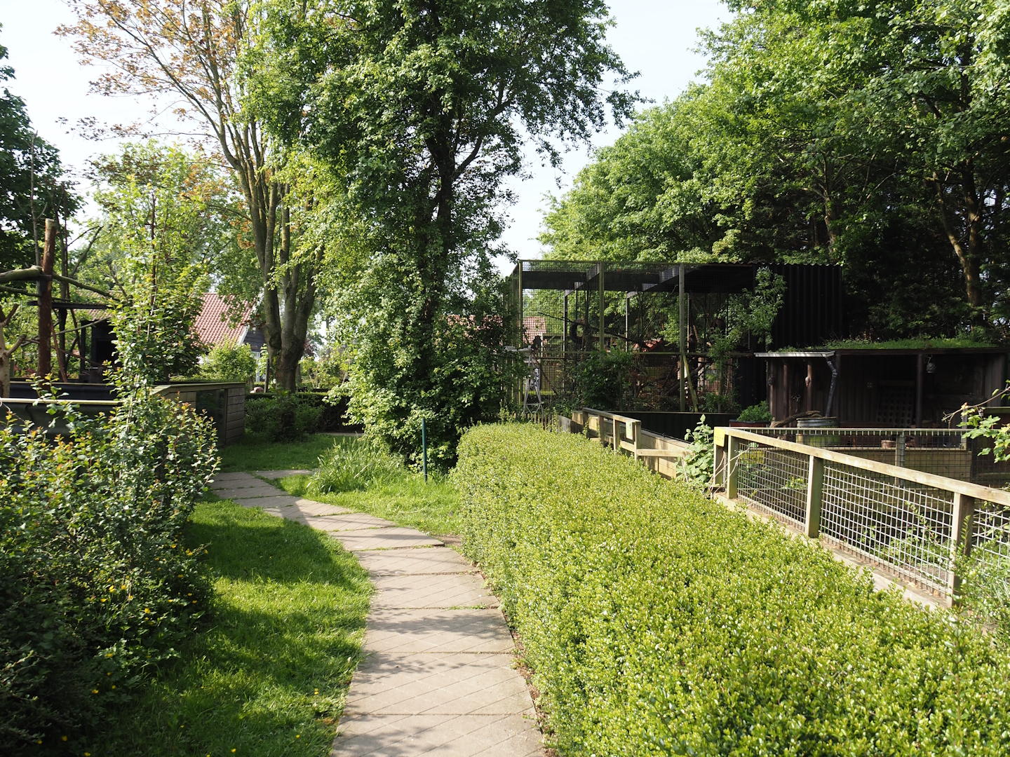 Park view between Striped skunk exhibit and Greater flamingo pond, 2024-05-11