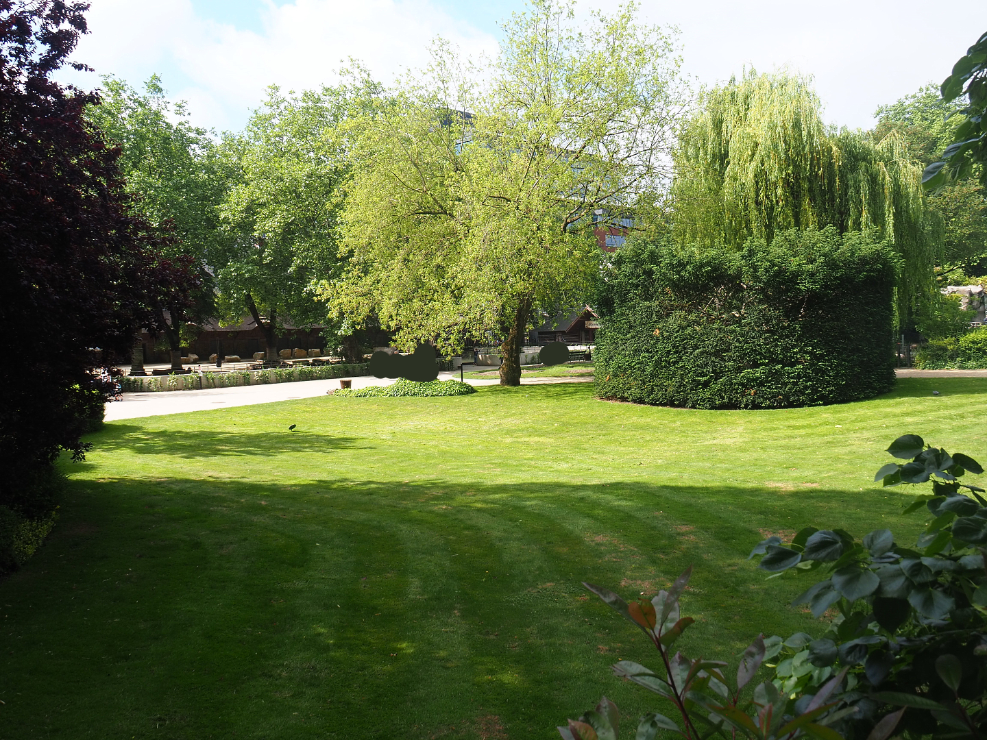 Park view from elephant viewing area towards rhinoceros paddock, 2022-05-26