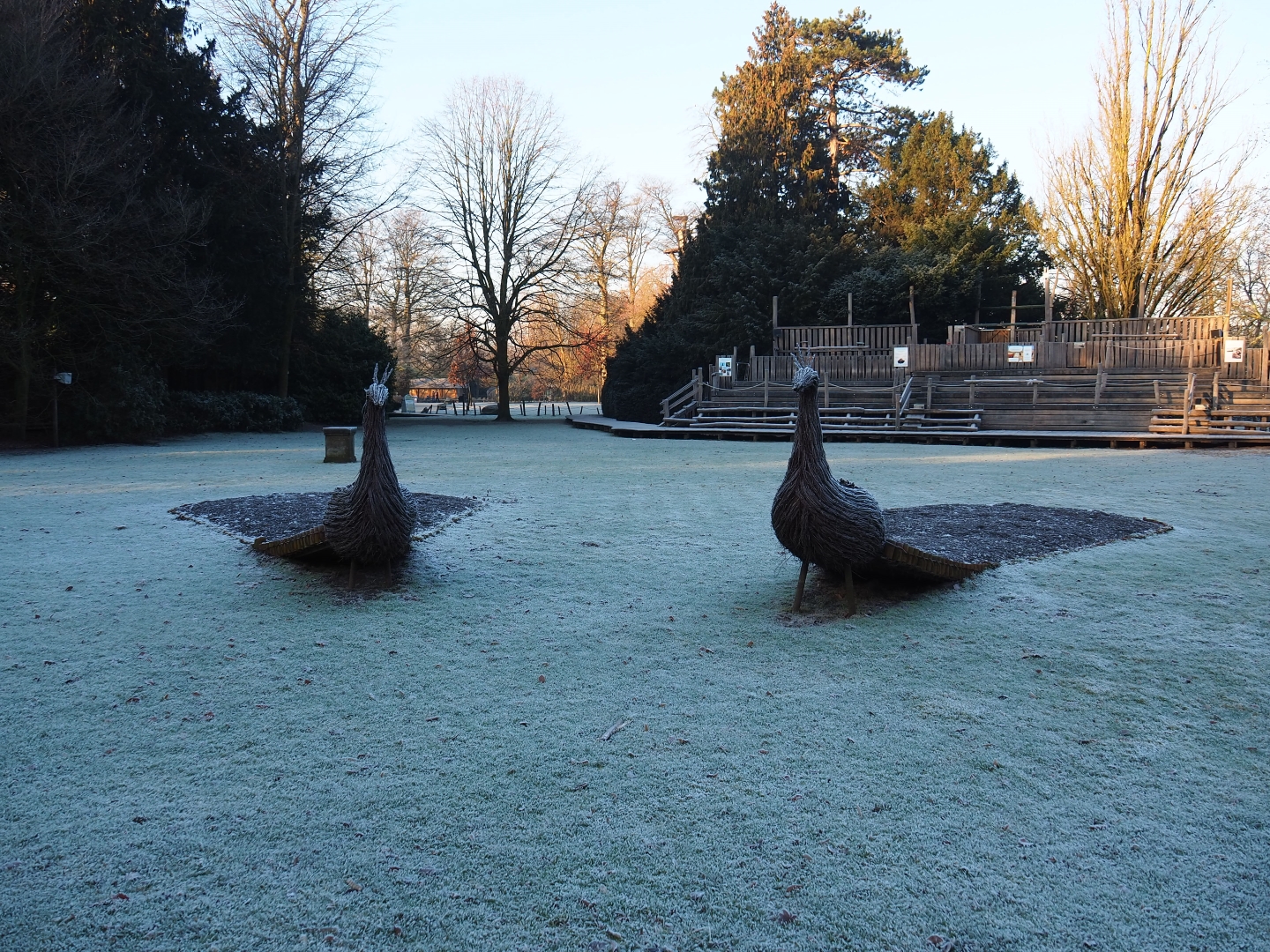 Park view (Jan 20th, 2019)