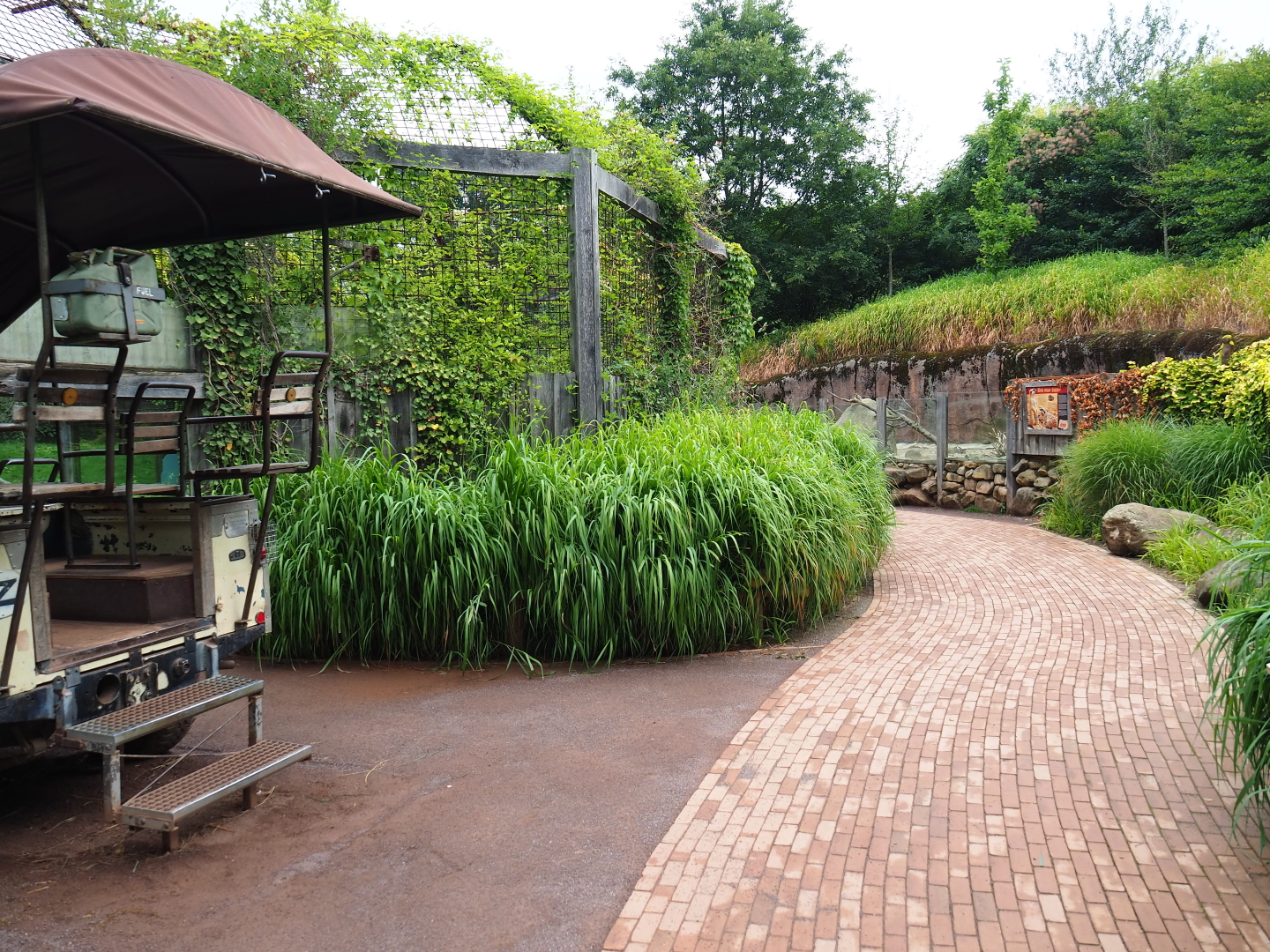 Park view near African lions - Towards the meerkat and porcupine exhibit, 2019-07-21