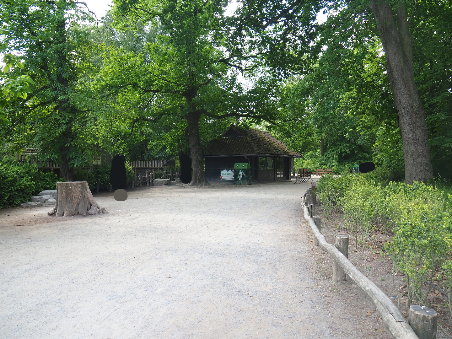Park view near female Indian rhinoceros paddock, 2022-05-28