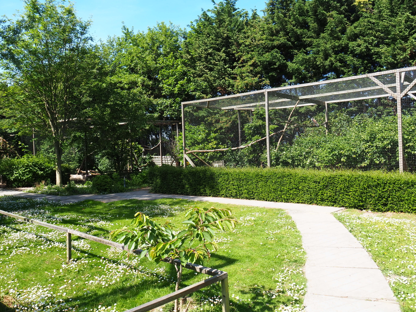 Park view near hawk and owl aviaries, 2019-06-01