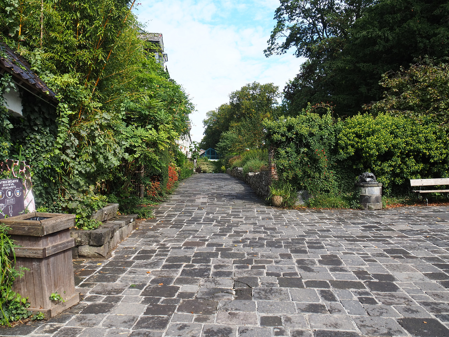 Park view near kookaburra aviary and brewery, 2022-09-15
