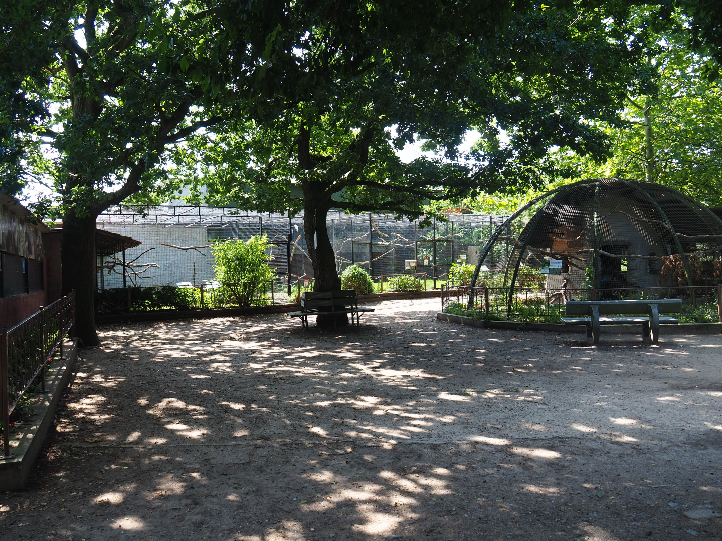 Park view near nursery and aviaries, 2019-08-04