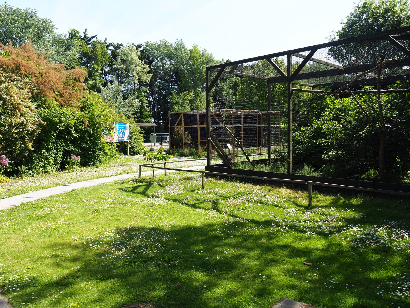 Park view near owl and hawk aviaries, 2019-06-01