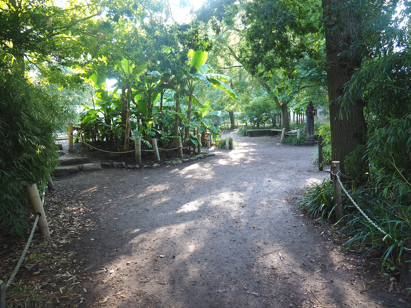 Park view near the Asiatic lion exhibit, 2022-09-12