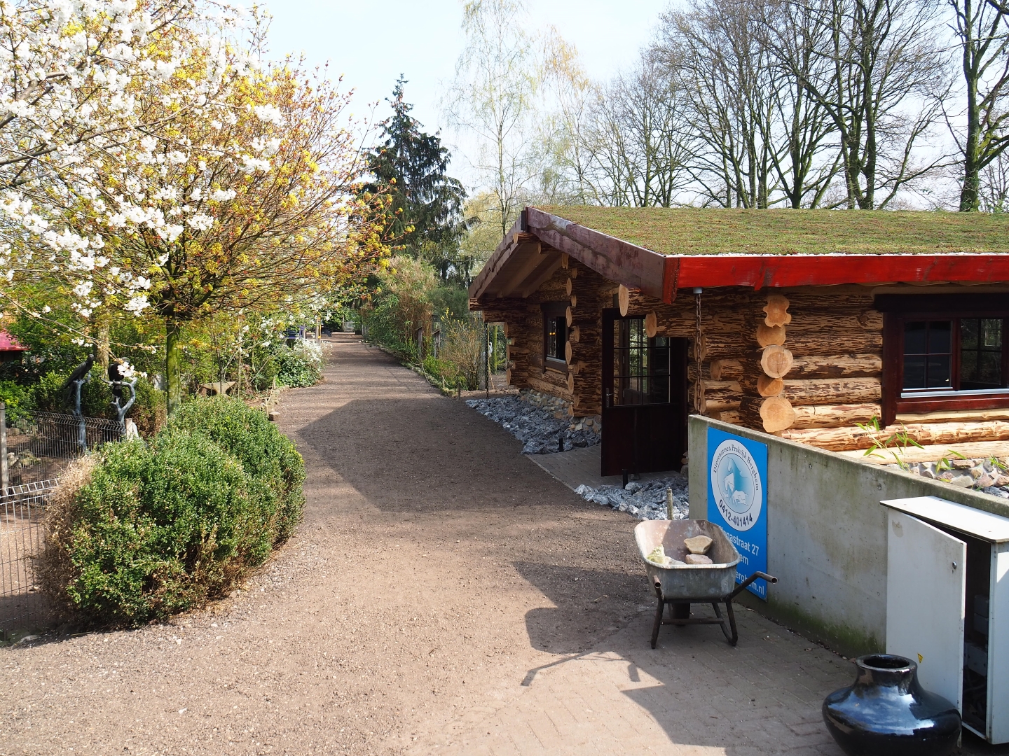 Park view near the education building, 2019-04-06