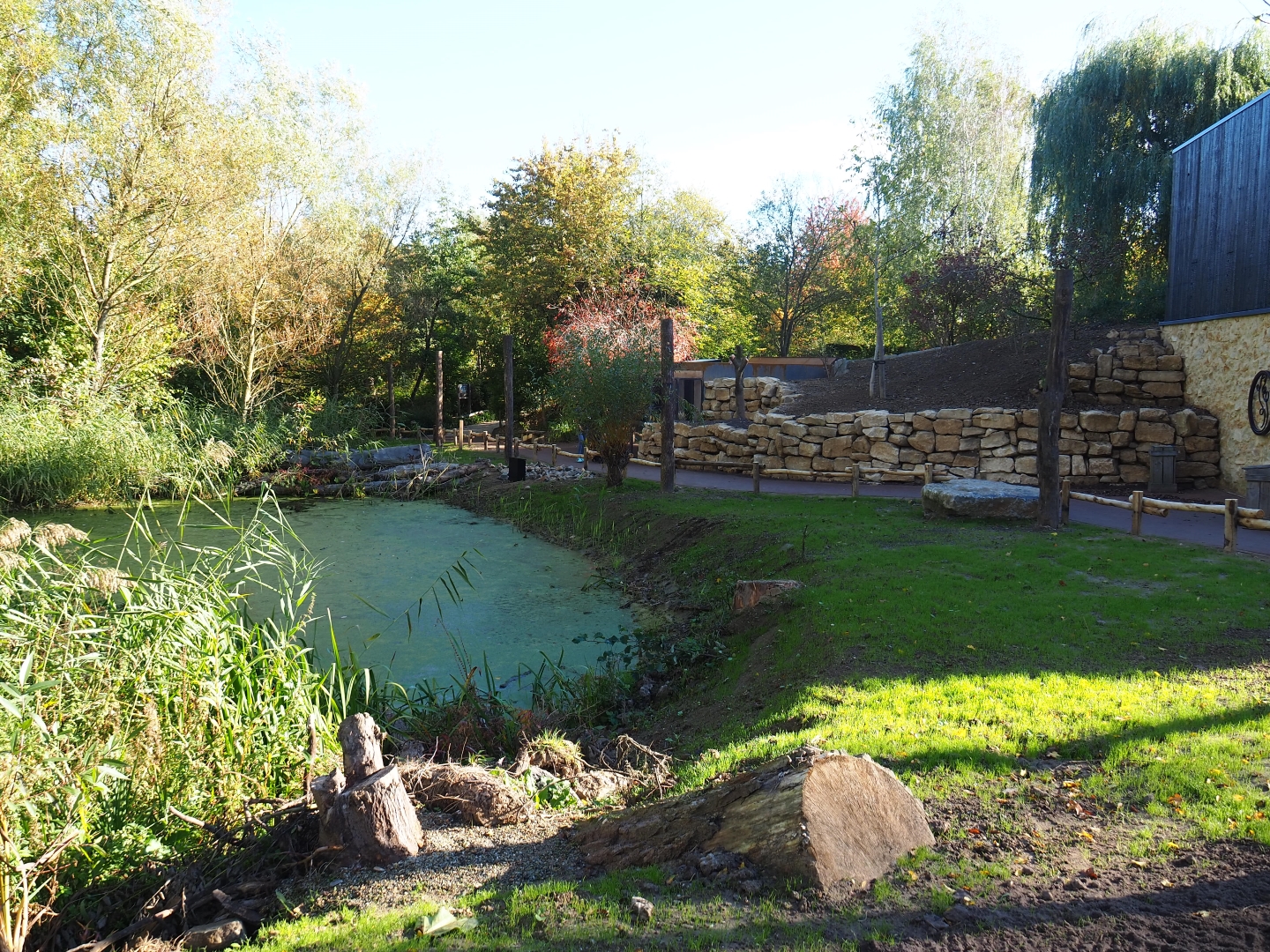 Park view near the Limburg House (Oct 13th, 2018)