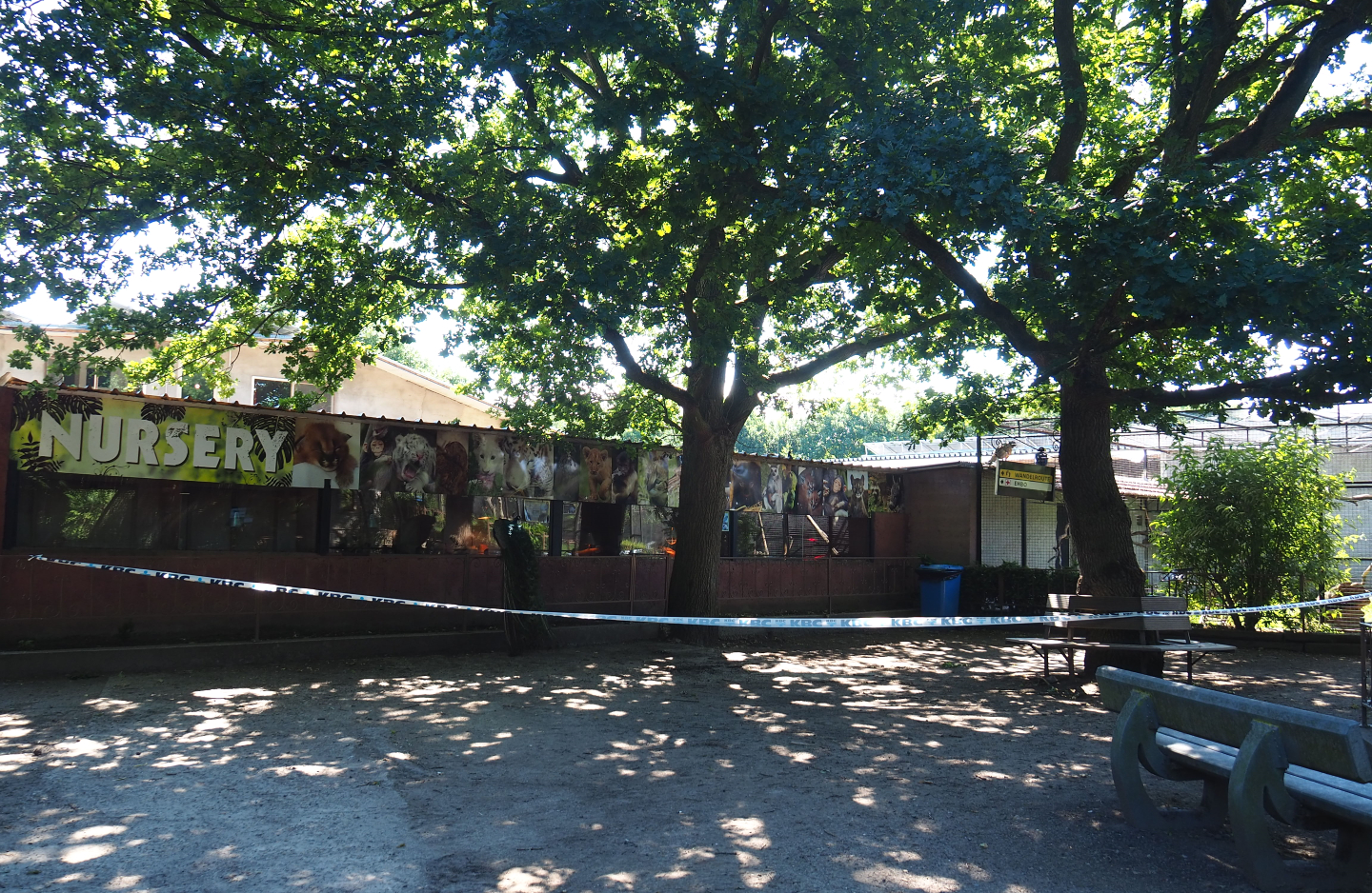 Park view near the nursery and the parrot aviary block, 2020-06-20