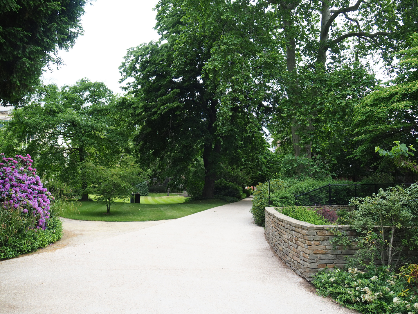 Park view near the okapi paddocks, 2020-05-24