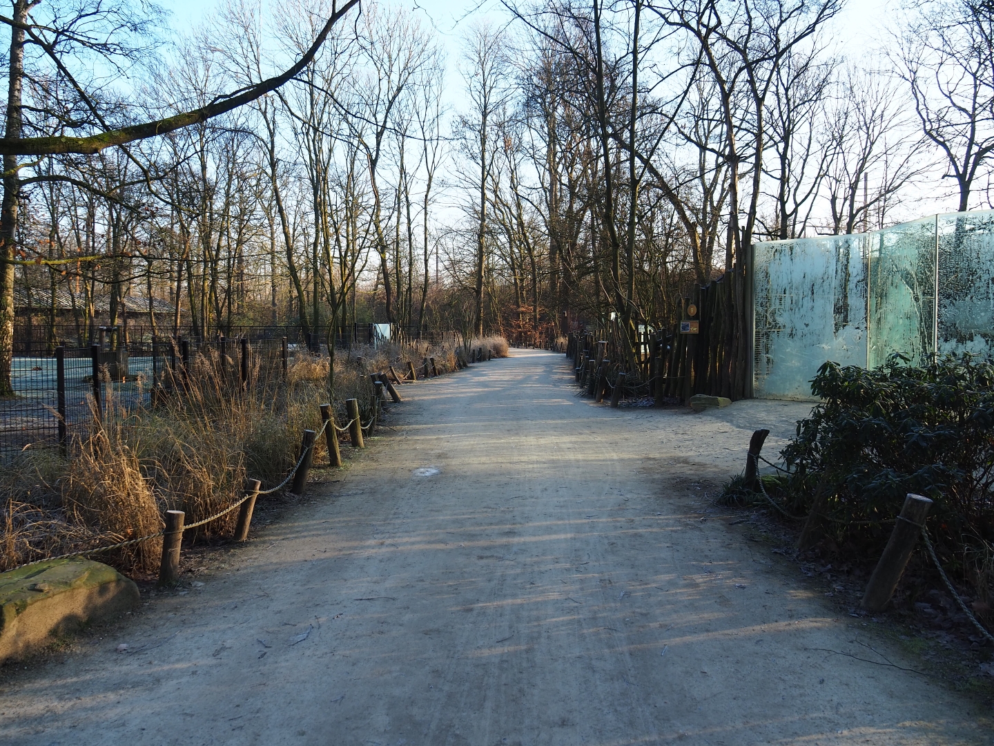 Park view near the spotted hyena and Arabian oryx exhibits (Jan 20th, 2019)