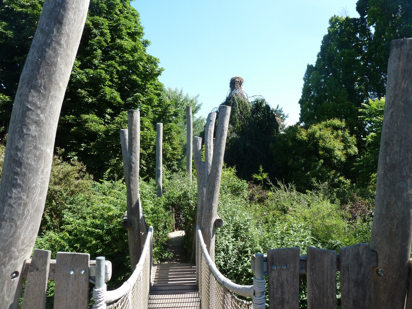 Park view seen from viewing tower