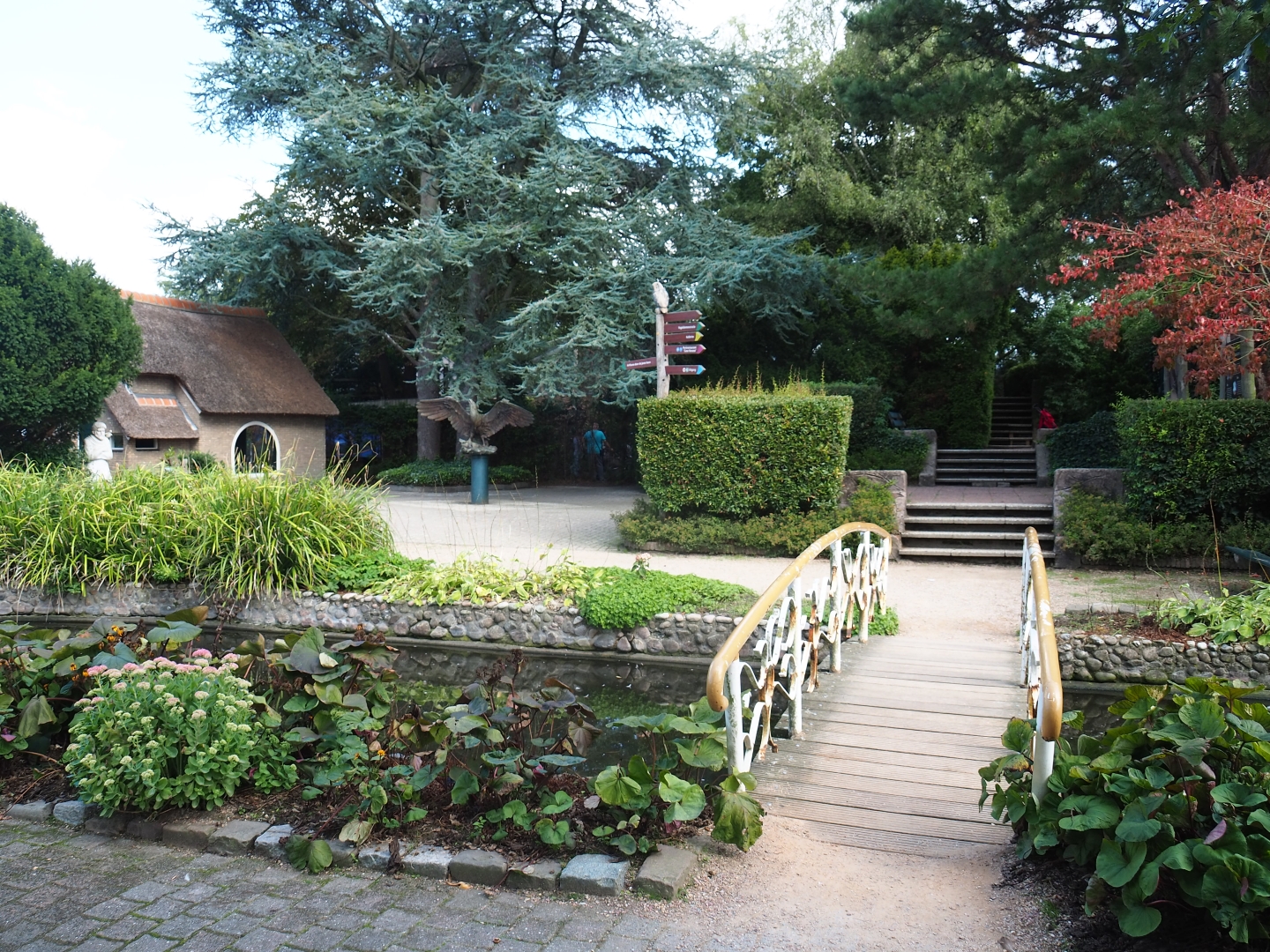 Park view (Sep 2nd, 2018)