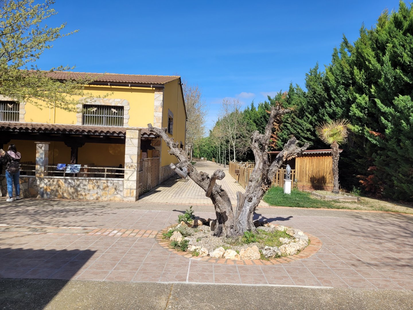 Park view -Tierra Rapaz (2024)