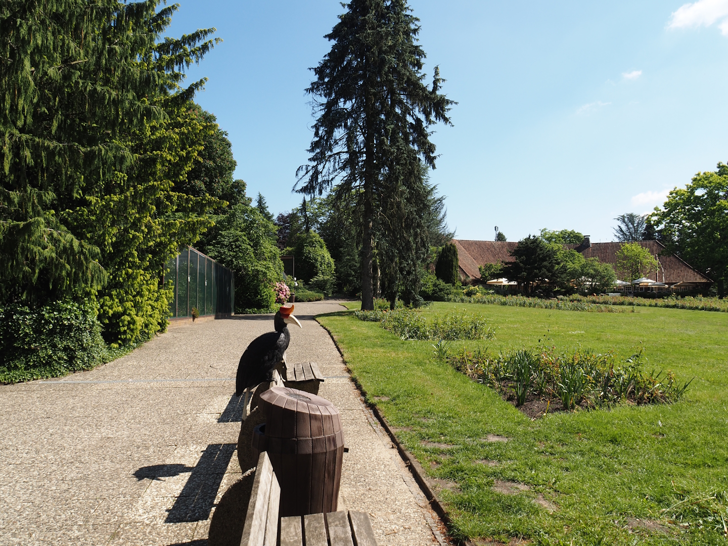 Park view towards Pukara and the Rosencafé restaurant with walkway alongside aviaries, benches and gardens, 2024-05-23