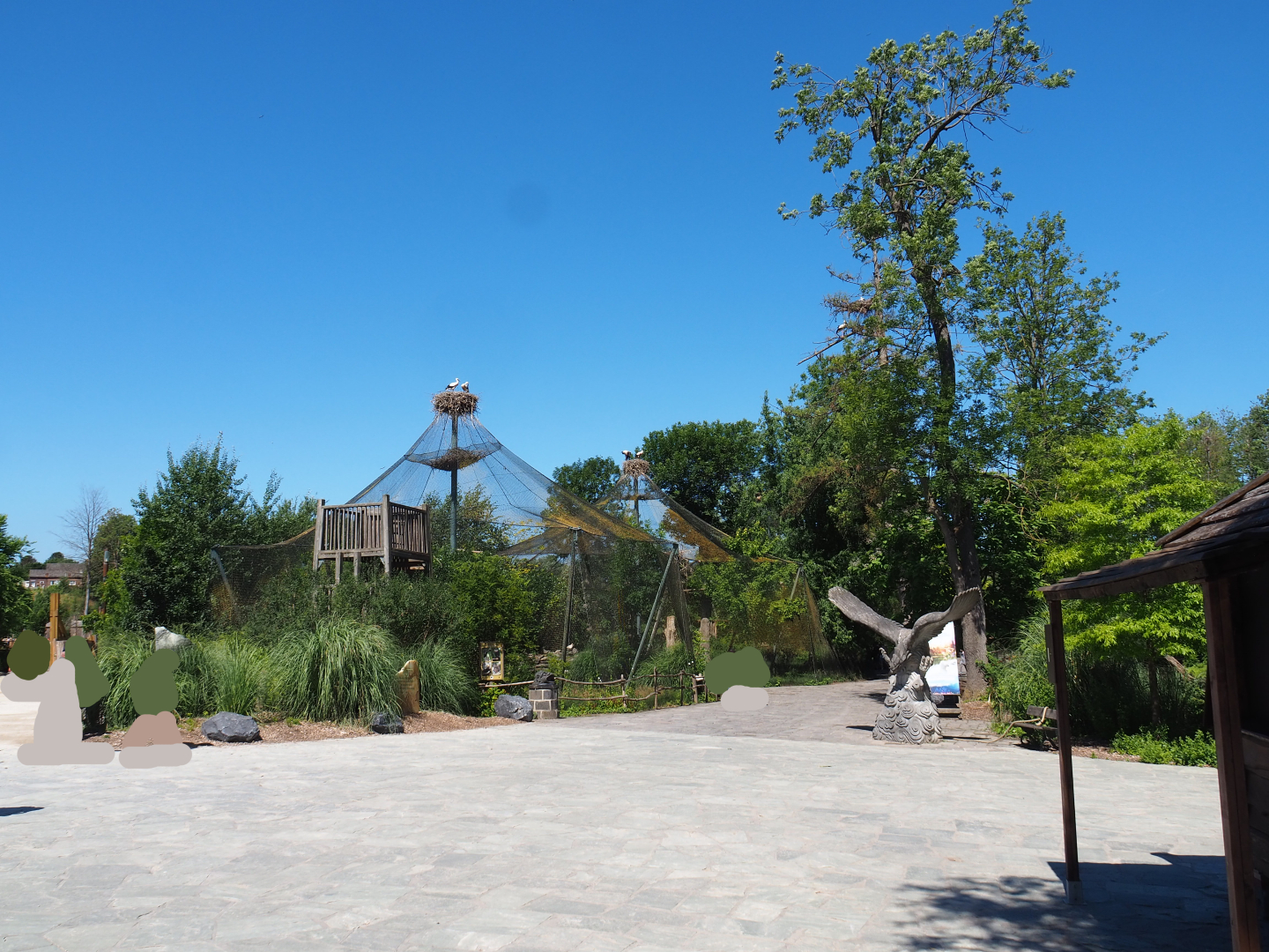 Park view towards raptor village, 2022-06-28