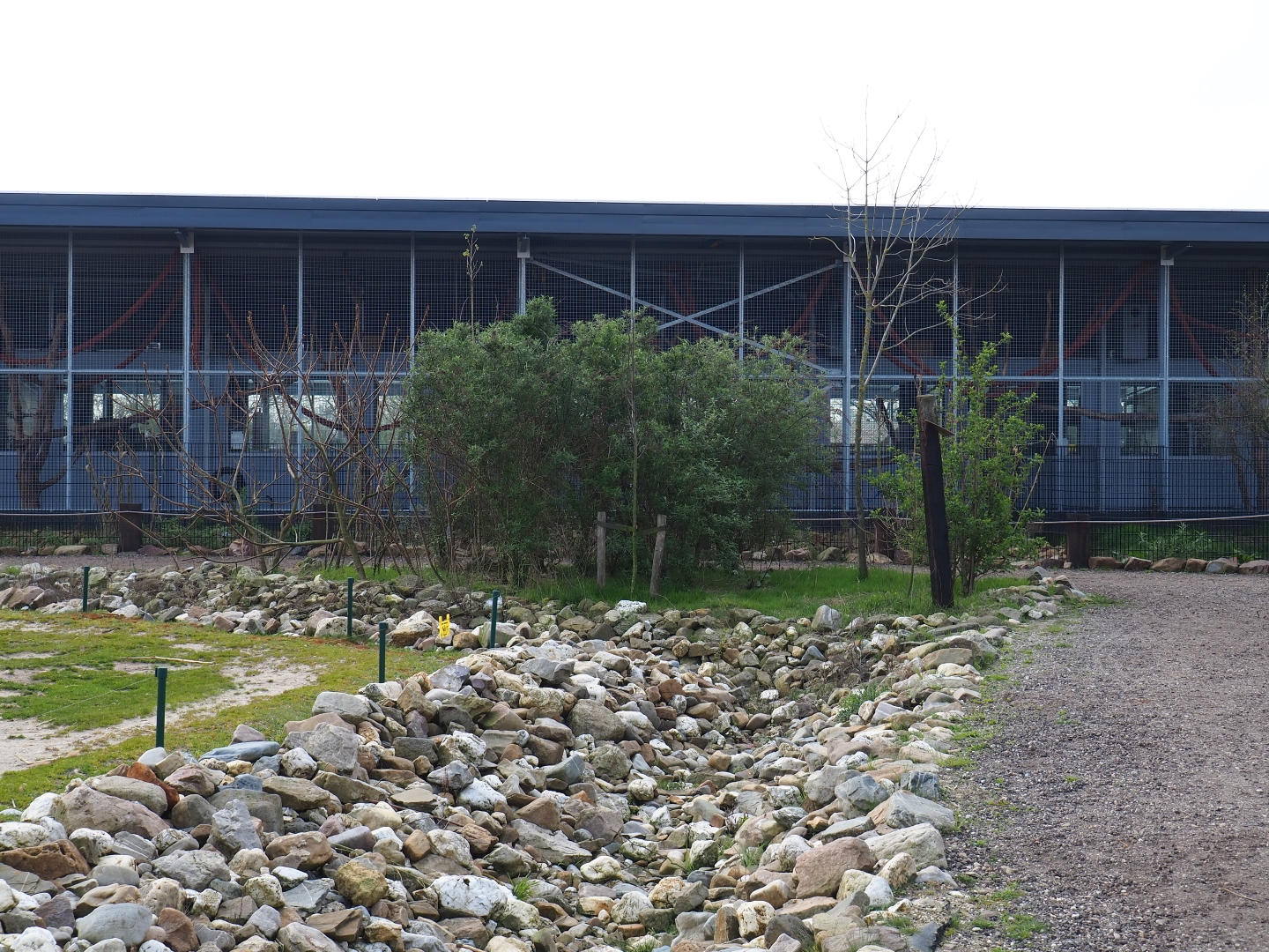 Park view towards South America house, 2019-04-06