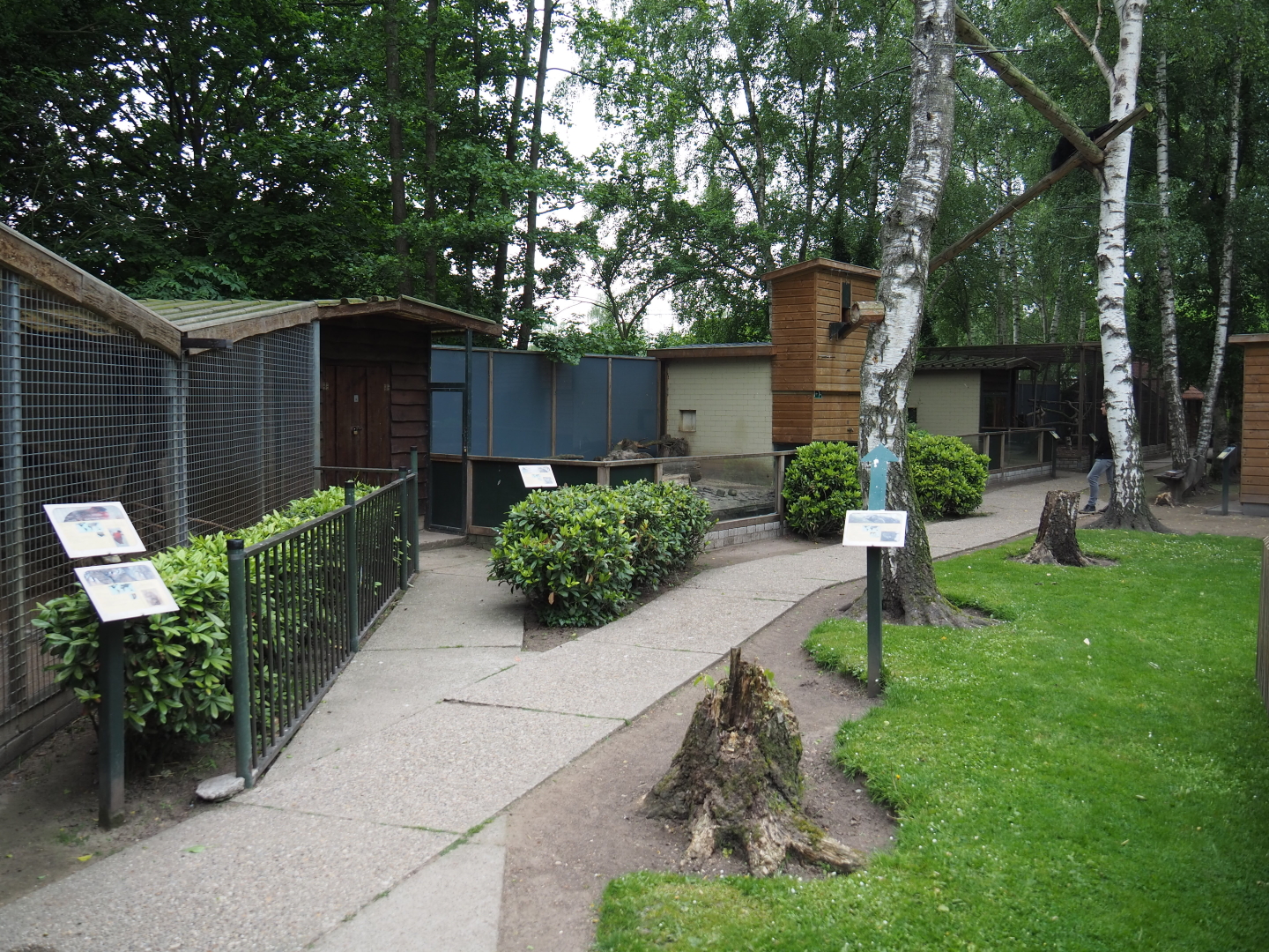 Park view with Chacoan mara/Satyr tragopan, Palawan binturong and Asian small-clawed otter exhibits, 2019-05-25