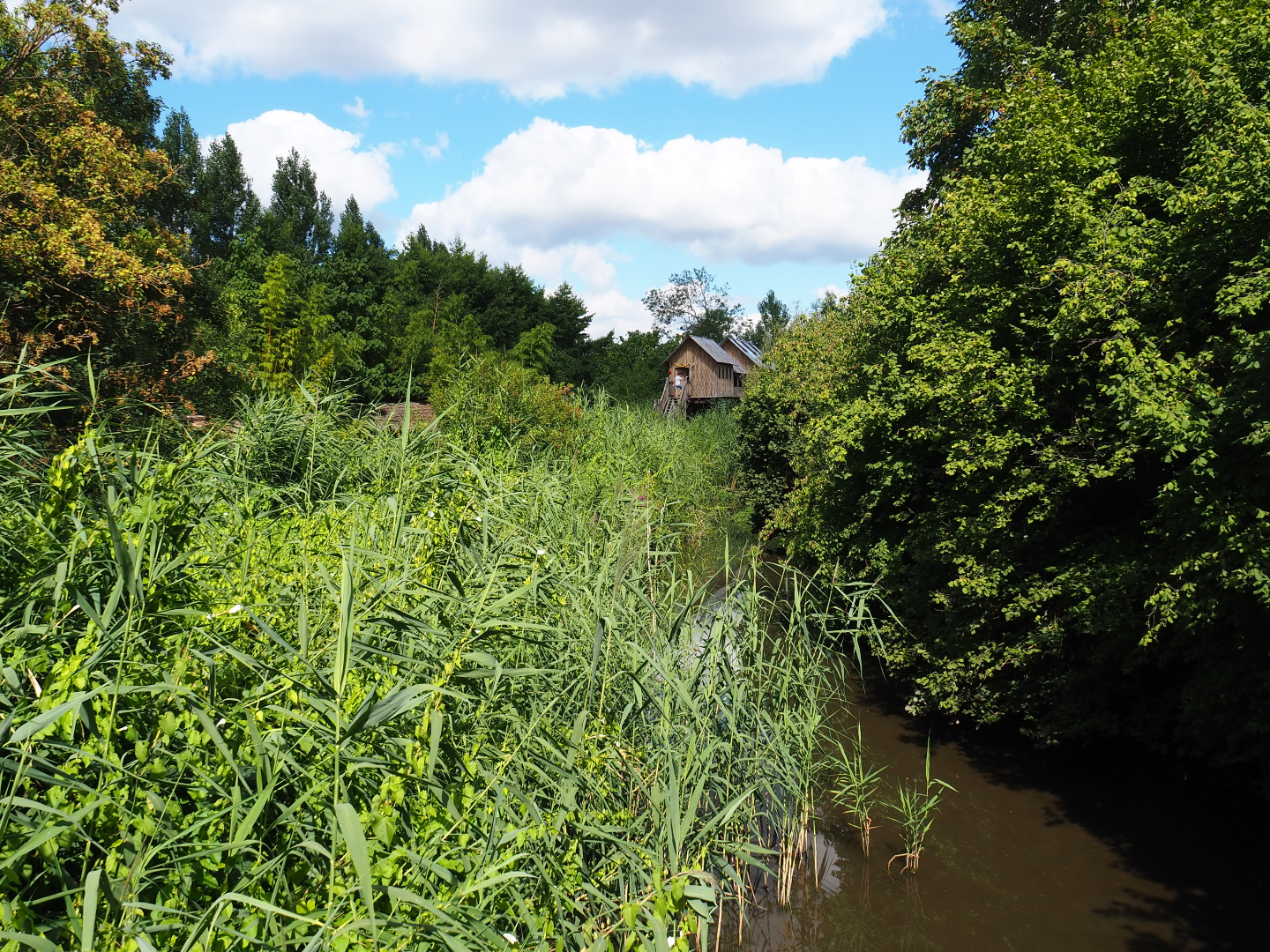 Park view with creek in the Asian section, 2020-07-21