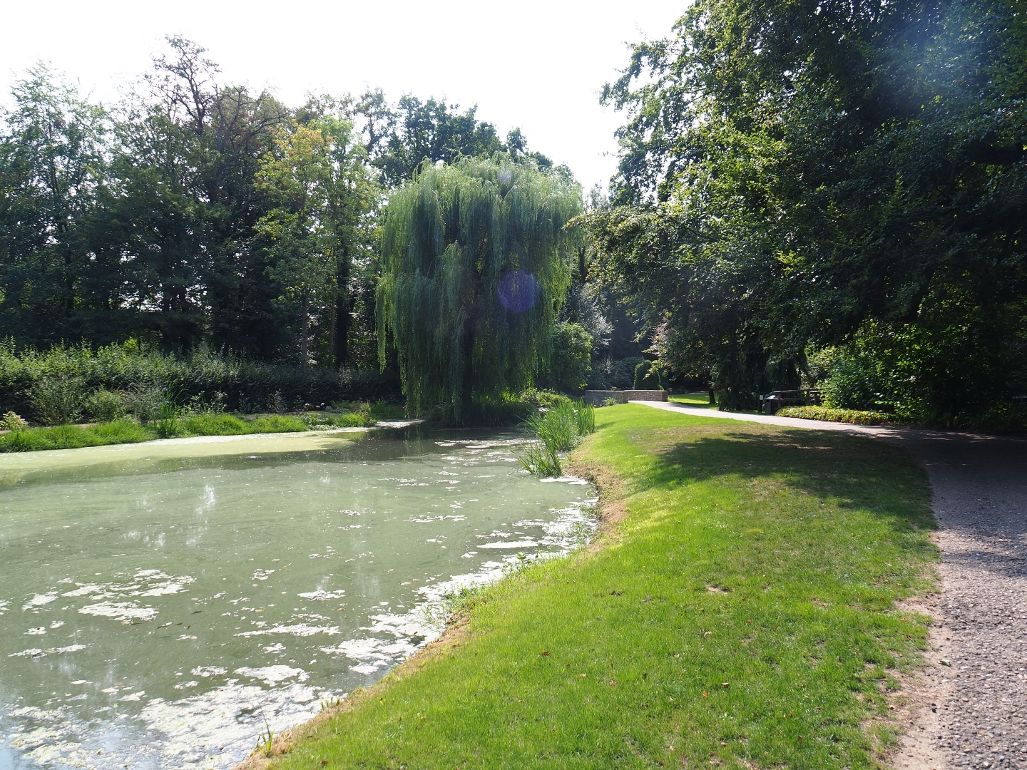 Park view with English gardens pond (Aug 28th, 2018)