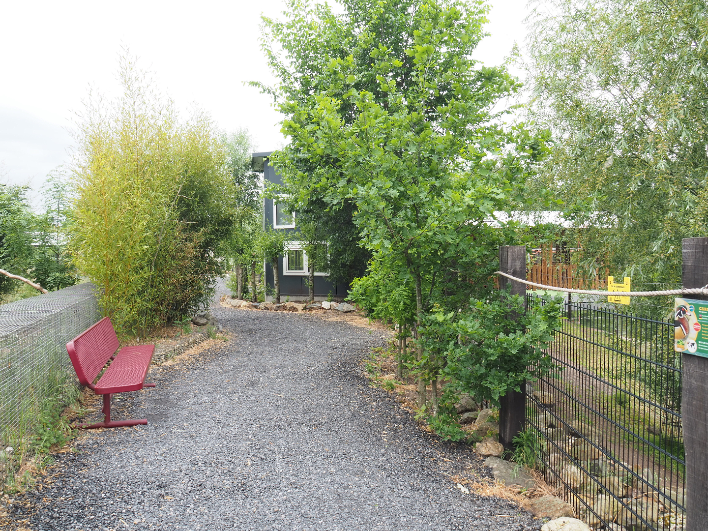 Park view with future spider monkey house, bush dog exhibits and viewing area for South American exhibit, 2022-05-17