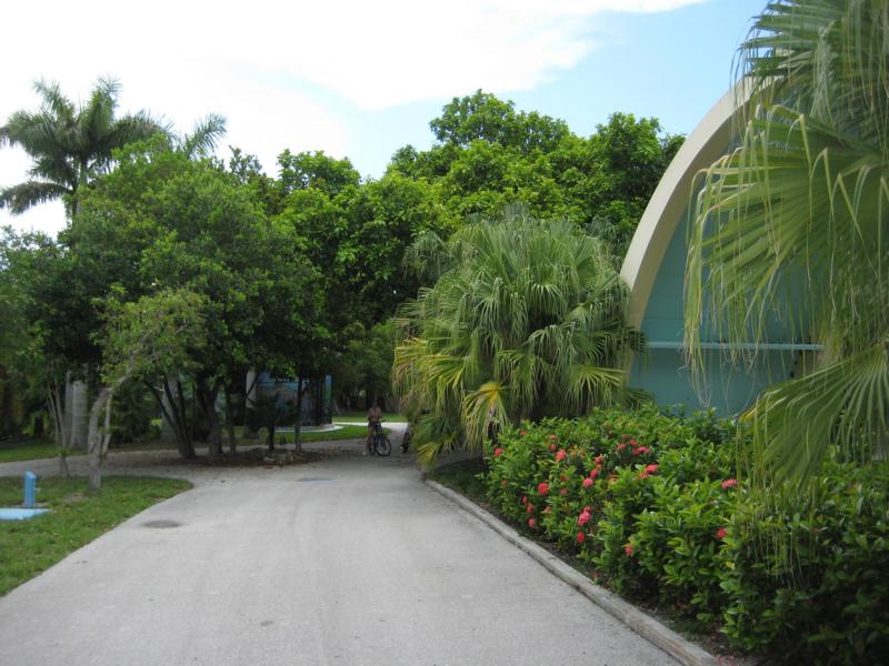 Park View with Gibbon Cage